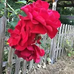 De Heijense Molen Retro Campeggio Heijen