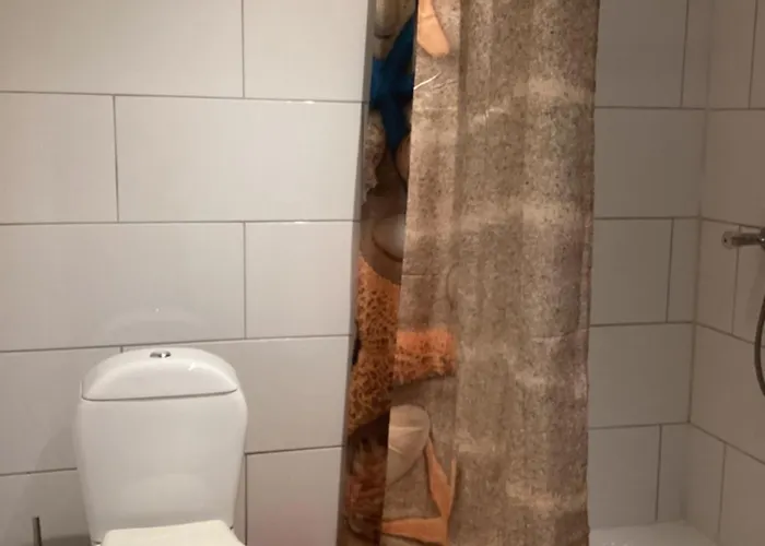 De Heijense Molen Retro *