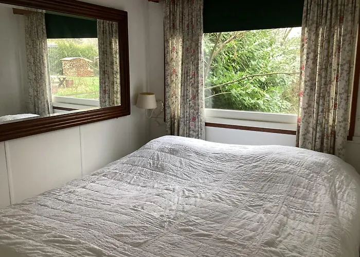 De Heijense Molen Retro *